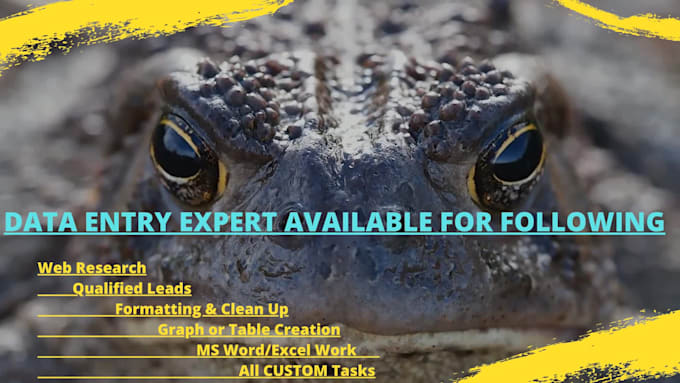be your data entry specialist and web research expert for multiple industries