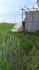 create authentic countryside videos for instagram reels