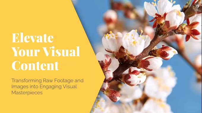 edit videos, pictures, posts for social media
