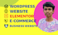 customize ecommerce website, responsive website, using elementor pro