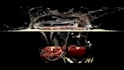 fluid, cloth, and particle simulations in 3ds max