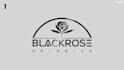create a premium custom logo animation for the business