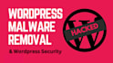 clean malware and backlist hacked wordpress site