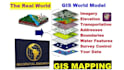 provide expert gis analysis and custom mapping in arcgis pro
