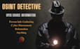 be your osint private investigator for online harassment background check