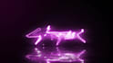 do custom neon light logo animation for you