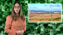 film a green screen or TV studio video