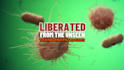 restore energy and wellness with body code and the root cause clearing