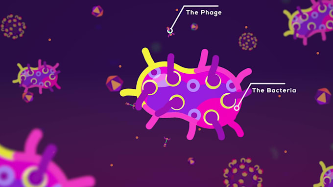 create scientific, medical animator and 2d explainer video