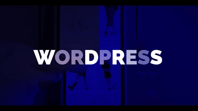 develop a professional and stunning wordpress website