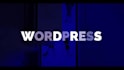 develop a professional and stunning wordpress website