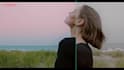 professional color grading or color correction in your video