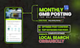 manage or optimization 30 days gmb gbp posts with geo images for top ranking