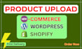 shopify product entry services and other platforms