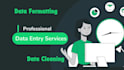do data entry web research and excel data cleaning
