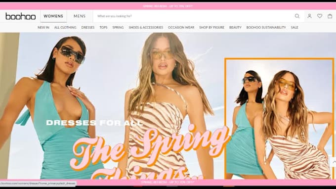 build shopify website and shopify store