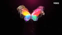make this listed butterfly reveals with your logo