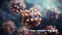 create professional medical animation and video