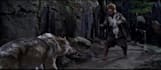 3d animal animation, cgi animal animation,3d animal model,vfx animal compositing