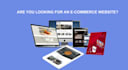 build a responsive ecommerce multi vendor store