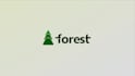 professionally create a minimalist animation for you