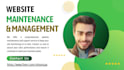 be expert website manager for wordpress maintenance and overall site maintenance