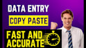 do fast and accurate data entry, copy paste  service
