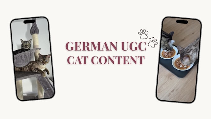 create authentic cat ugc videos for tiktok or meta in german