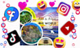 design 10 attractive animated social media posts