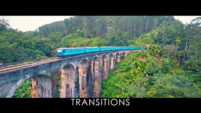 provide professional video editing within 24 hours