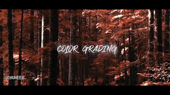 edit cinematic drone videos travel and youtube videos in premiere pro