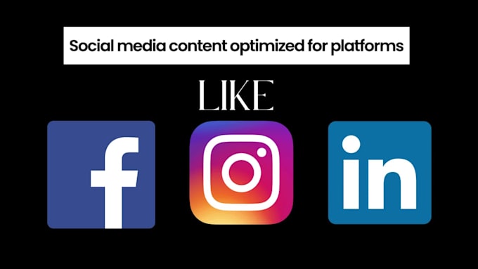 create motion graphics post designs and social media content