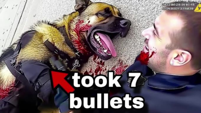 edit your bodycam videos like code blue cam or dr insanity