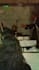 compose or arrange for strings or orchestra