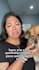 create dog or pet ugc content for social media