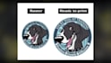 do vectorize, and manual vector tracing in 2 hours