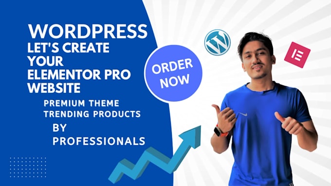 set up a pro develop and modern wordpress website design
