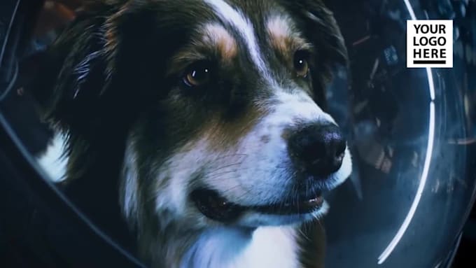make funny astronomer dog video with your logo and web