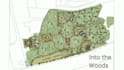 give your 2d master plan, architecture floor plan, and section a diagram look