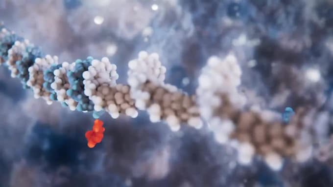 do 3d medical animation cellular pathway animation scientific medical animation