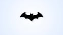 do custom 3d logo rotating and reveal animation