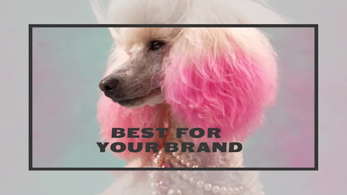do pet product photo with optional pet models