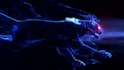 do stunning wolf, horse, lion or panther logo animation