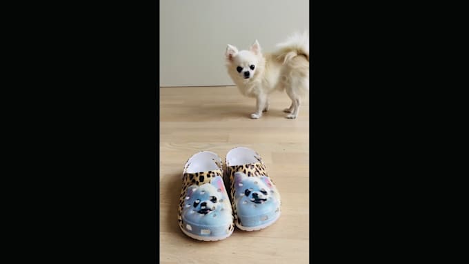 be your pet, dog, chihuahua model
