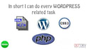 install and customize wordpress, plugins as per demo