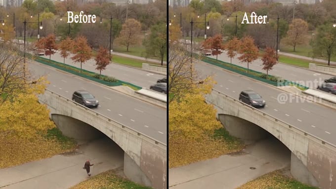 remove the object from your videos and pictures