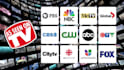 create brand commercial, tv commercial or promotional explainer video ads