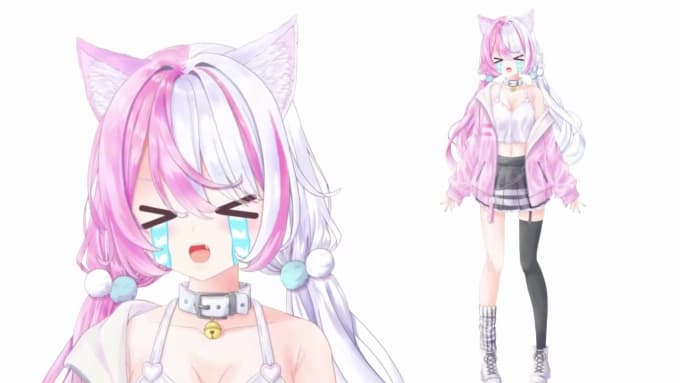 Design and rig 2d vtuber model, facerig live2d model by Brainyanm | Fiverr