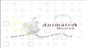 lottie magic , web animations that pop and convert
