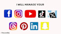 be your social media marketing manager for pinterest, tiktok and youtube